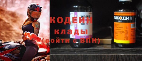 стафф Новозыбков