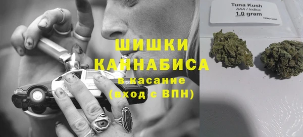 стафф Новозыбков