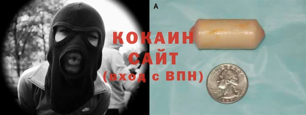стафф Новозыбков