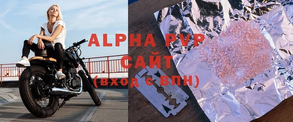 стафф Новозыбков