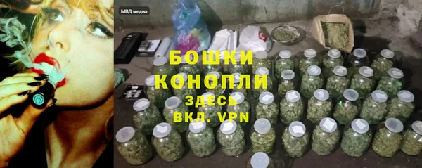 стафф Новозыбков