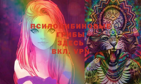 стафф Новозыбков